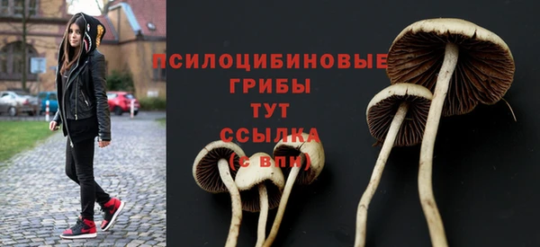 экстази Мегион