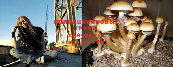 экстази Мегион
