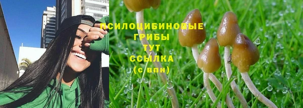 стаф Медвежьегорск