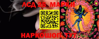 амф Донской