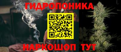 амф Донской