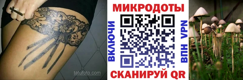 Галлюциногенные грибы мухоморы Омск
