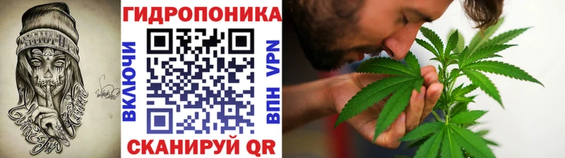Конопля марихуана Омск